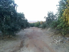 15102011022 15102011022