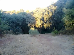 15102011032 15102011032