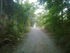 151020110132 151020110132
