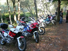 DSCN8070