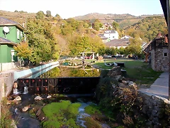 DSCN8171