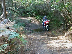 DSCN8096