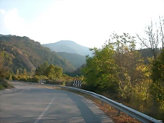 DSCN8150