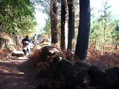 DSCN8103