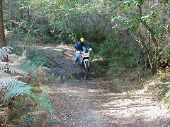 DSCN8098