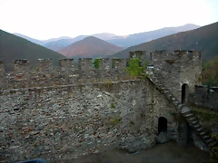 DSCN8186