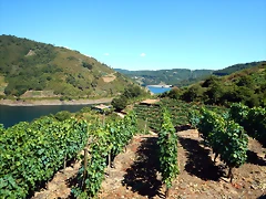 DSCN4152 DSCN4152