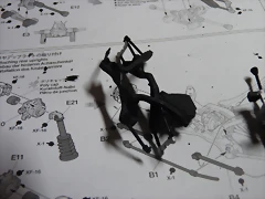 P1090637 P1090637