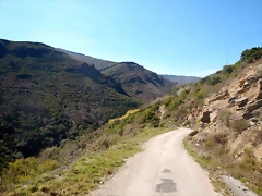 DSCN2649 DSCN2649