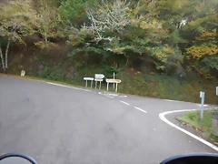 DSCN4730 DSCN4730
