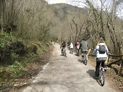 R0012357 R0012357