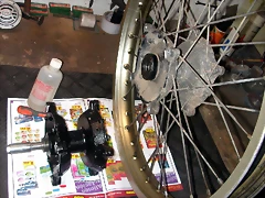 DSCN0341 DSCN0341
