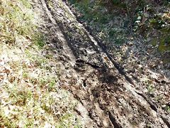 DSCN9074.JPEG DSCN9074.JPEG