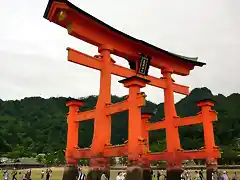 Miyajima881