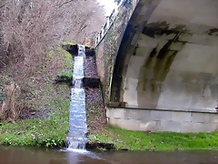 DSCN7175 DSCN7175