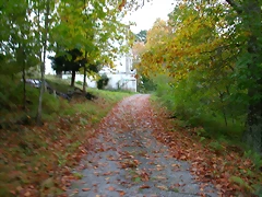 DSCN5810 DSCN5810