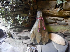 DSCN7886