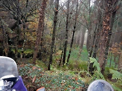 DSCN0729 DSCN0729