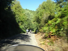 IMG_1009 IMG_1009