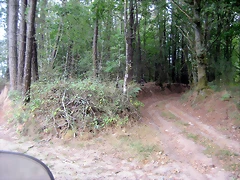 IMG_0405 IMG_0405