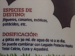 IMAG1741