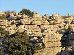 A101
