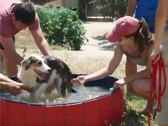 piscina5 piscina5