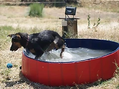 piscina3 piscina3