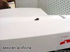 sexo en la oficina