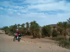 Atta Atta