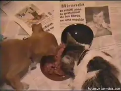 cena para dos cena para dos