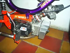 motor del mondial