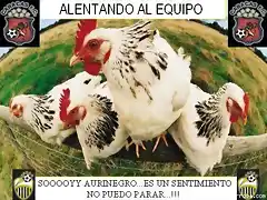 gallinero