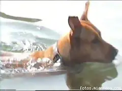 puninadadora puninadadora