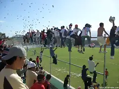 jaja