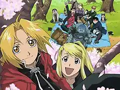 Full Metal Alchemist.