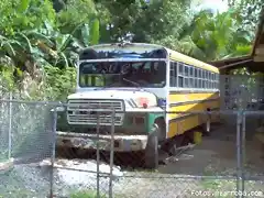 VIEJO FORESTAL MERCADO