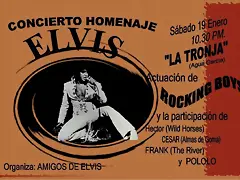 Cartel de elvis