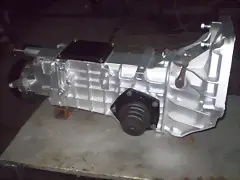 tuiotik