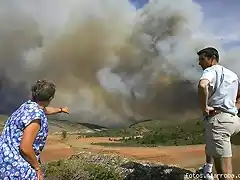 Incendio en Sar de Saelices, Guadalajara (17-7-05)