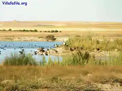 Grupo de antidas en las lagunas del C. de Interpretacin