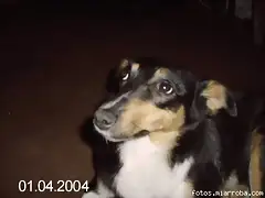 luzcecitas varias luzcecitas varias