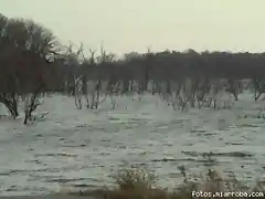 Brushy Creek