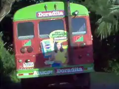 LA DORADITA CHIRIQUI