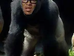 Edgard Davids