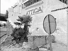 ATTICA Betty Lunattica