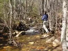 Arroyo de Aguablanca, Velilla (Muelas)