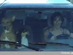 vamos en coche vamos en coche