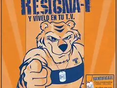 tigres