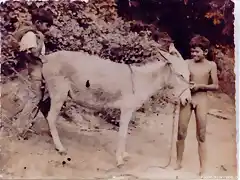 el primer amor de los llaneros... je je je